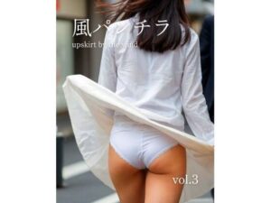 風パンチラ vol.3 レビュー|ミニスカ好き必見!アスファルトキャット