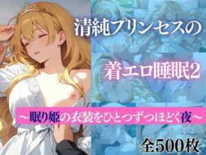清純プリンセスの着エロ睡眠2：眠り姫の禁断の夜を覗き見！