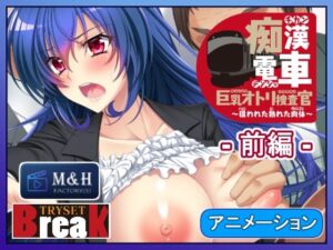 痴●電車 巨乳オトリ捜査官〜熟れた肉体〜【感想レビュー】