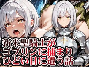 新米聖騎士ゴブリンに捕まりメス堕ち！【GRADUAL】レビュー