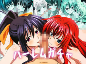 【Wフェラ特化】D×D同人！ハーレムガチャVol.03レビュー