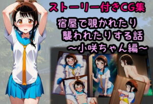 宿屋で覗かれたり襲われたりする話〜小咲ちゃん編〜 レビュー【ネタバレなし】