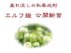 リョナの監獄『垂れ流しの恥辱処刑エルフ姫公開斬首』レビュー【グロ注意】