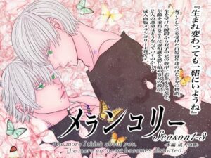 成人向版メランコリーseason1-3 レビュー｜BL好き必見の耽美な世界