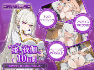 ツンデレ姫と夜伽の10日間レビュー！マジで神ゲーだった！