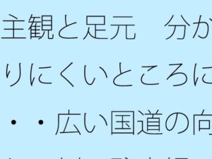 駐車場が舞台の感動ノベル！主観と足元 レビュー【サマールンルン】