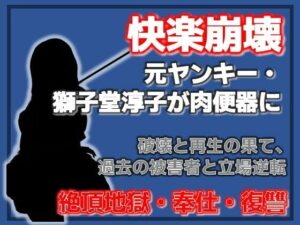 元ヤンキー熟女メス堕ち！破壊と再生のエロ同人誌レビュー