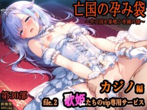亡国の孕み袋レビュー：お姫様×巨乳×NTR！エロスの極み！