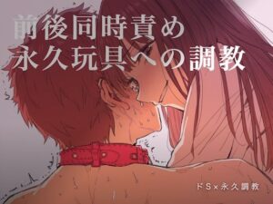 前後同時責め 永久玩具への調教 レビュー【夜の息抜き】