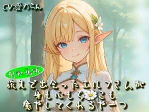 旅先で出会ったエルフさんが身も心もち◯こも癒やしてくれるやーつ【AI動画版】【Sacred Edition】 レビュー