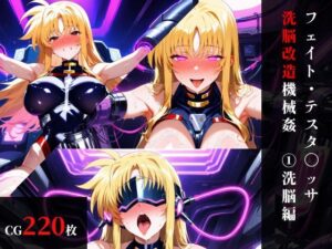 フェイト 洗脳機械姦レビュー！エロとストーリーが神レベル！