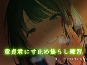 童貞君に寸止め焦らし練習！55円で脳汁ドバドバ！【ワンコインボイス】