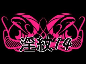 淫紋素材14の評価・感想｜イラスト・CG集系同人誌レビュー【2026年】