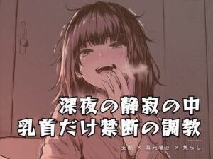深夜の静寂の中、乳首だけを嬲る禁断の調教 レビュー・感想|夜の息抜きの人気言葉責め同人【サンプルあり】