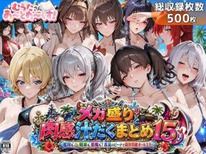 メガ盛り肉感汁だくまとめ15〜艦隊も戦車も悪魔も！真夏のビーチで限界突破オールスター〜 レビュー・感想【サンプルあり】