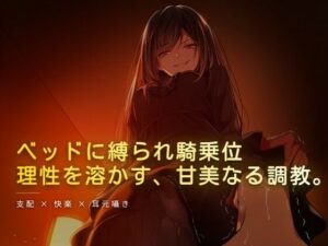 夜の息抜き『夜景騎乗位』レビュー！55円で言葉責め体験！