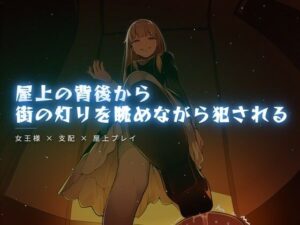 屋上の背後から街の灯りを眺めながら犯●れる レビュー【夜の息抜き】