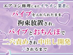 エアコン修理業者に開発されるエロ同人レビュー！【宵凪】