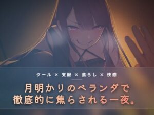 夜の息抜き「月明かりのベランダで、氷を使い執拗に焦らす」レビュー