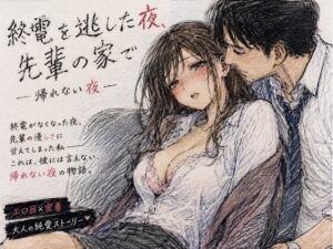 終電逃した夜、巨乳OLと…！NTR同人作品レビュー