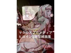 マクロスFヒロイン SM緊縛画集！きゅうり夫人【レビュー】