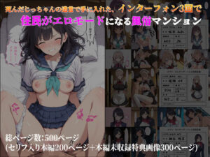 インターフォン3回でエロモード！セーラー服巨乳風俗マンション体験