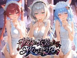彼女の衣装は夜にほどける ホ〇ライブ No.01 レビュー【むちゅむちゅマシュマロ】