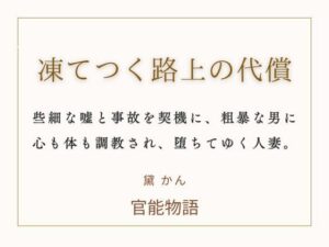 【熟女NTR】凍てつく路上の代償レビュー！背徳感がたまらない！