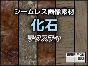 化石テクスチャ素材集！商用利用OK！同人ゲーム、イラストに最適！
