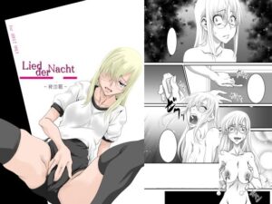 【神エロ】体操着×辱め！Lied der Nacht 18 レビュー
