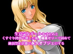 『生意気なギャルを寸止めとくすぐり拷問で壊した後、媚薬ゼリーで固めて絶頂禁止状態で永久オブジェにする』 レビュー