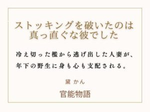 ストッキングを破いたのは、真っ直ぐな彼でした。の評価・感想｜ノベル系同人誌レビュー【2026年】