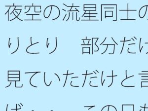 夜空の流星同士のやりとり  部分だけを見ていただけと言えば・・  この日もポケットに携えて レビュー