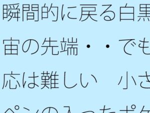 瞬間的に戻る白黒宇宙の先端・・でも対応は難しい  小さなペンの入ったポケットの中 レビュー・感想【サンプルあり】