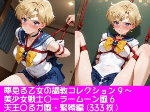 夢見る乙女の調教コレクション9〜美少女戦士〇ーラームーン風6・天王〇るか風・緊縛編 レビュー・感想【サンプルあり】