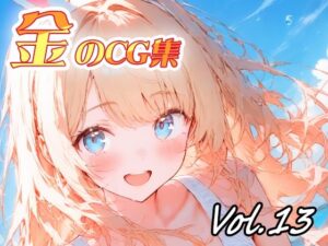 金のCG集vol13の評価・感想｜イラスト・CG集系同人誌レビュー【2026年】