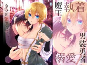 きみを壊すものの評価・感想｜ファンタジー系同人誌レビュー【2026年】