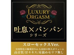 【実用180分永久ループ】LUXURY ORGASM 01 -極致のスローリズム- 吐息と肉撃音に溺れる3時間（48kHz32bitWAV同梱 レビュー