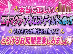 本当に正しい エネマグラ・アネロス・ディルドの使い方 それぞれの特性を理解して  とろけるお尻開発楽しみましょ レビュー