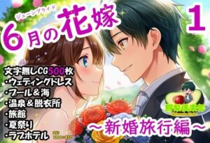 六月の花嫁（ジューンブライド）1_新婚旅行編の評価・感想｜中出し系同人誌レビュー【2026年】