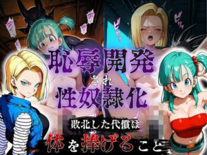 敗北した代償は体を捧げること〜恥辱開発され性奴〇化〜  ドラゴ〇ボール編の評価・感想｜拘束系同人誌レビュー【2026年】