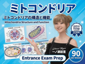 【▲20】一ノ瀬廻里 大学に進学し強豪予備校『DOPUX（ドピュックス』で生物I，IIを教える名物講師に！（Vol.001:ミトコンドリア） レビュー
