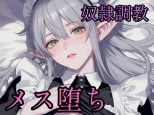 高慢なハイエルフを奴●調教してメス堕ちさせる話の評価・感想｜ファンタジー系同人誌レビュー【2026年】
