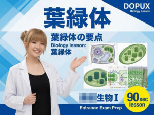 【▲20】一ノ瀬廻里 大学に進学し強豪予備校『DOPUX（ドピュックス』で生物I，IIを教える名物講師に！（Vol.005:葉緑体） レビュー