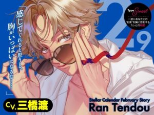 【CV.三橋渡】Stellar Calendar（ステカレ）〜February Story〜 レビュー
