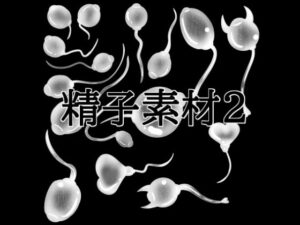 精子素材2の評価・感想|イラスト・CG集系同人誌レビュー【2026年】
