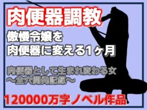 傲慢令嬢を肉便器に変える1ヶ月 レビュー・感想｜Aine Graceの人気辱め同人【サンプルあり】