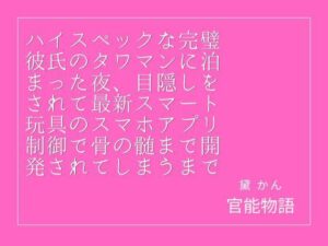 ハイスペックな完璧彼氏のタワマンに泊まった夜、目隠しをされて最新スマート玩具のスマホアプリ制御で骨の髄まで開発されてしまうまで レビュー