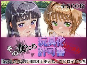 その女たち、玩具化許可証発行済み -街の男たちの共用肉オナホとなったヒロインたち- さくら＆ともよ編 レビュー