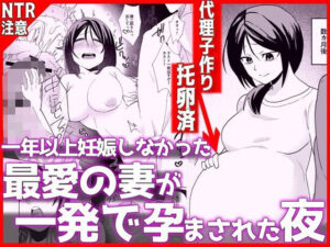 1年以上妊娠しなかった最愛の妻が一発で孕まされた夜 レビュー・感想｜音鳥心愛の人気妊婦同人【サンプルあり】
